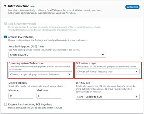 collecting instance settings: empty result|amazon ecs .